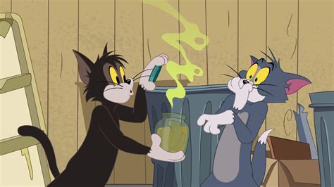 Watch The Tom & Jerry Show - Season 12 | Prime Video