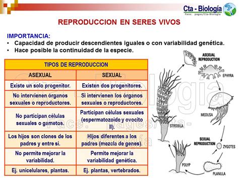 Biología Didáctica Nsc 4° Reproducción En Seres Vivos