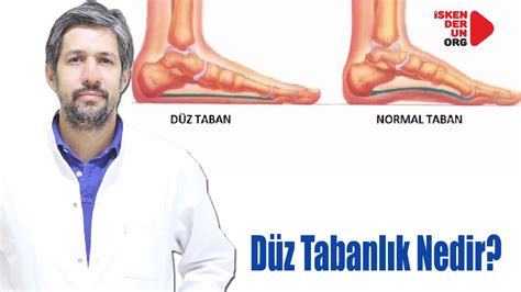 D Z Tabanl K Nedir Iskenderun