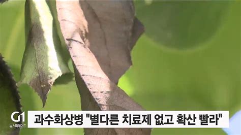 과수계 흑사병과수화상병 비상