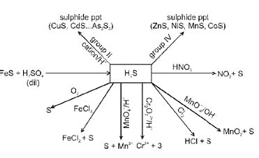 Important P Block Elements And Their Compounds Formulas For Jee And Neet