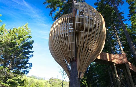 Yellow Treehouse Restaurant By Pacific Environments Architects