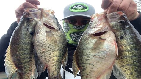 Pre Spawn Crappie Fishing Tips Where To Find Staging Slab Crappie