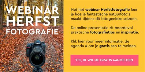 Tips Voor Het Fotograferen Van De Herfst Artofit