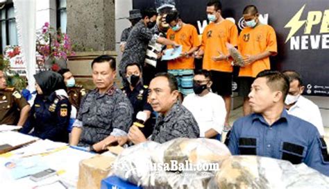 NUSABALI BNNP Ciduk Tiga Pengedar Ganja Jaringan Medan