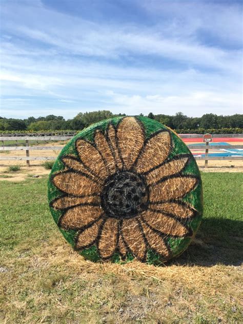 Hay Bale Painting Ideas Painted Hay Bale Ideas Painted Hay Bales Hay