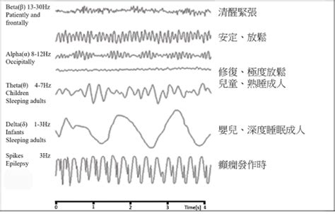 書名：兒少神經精神疾病自然療法 初稿 第二章 3d立體腦波eeg的原理及臨床應用