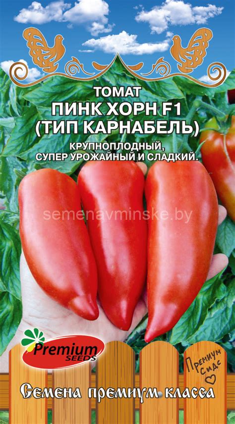 Купить семена почтой Минск