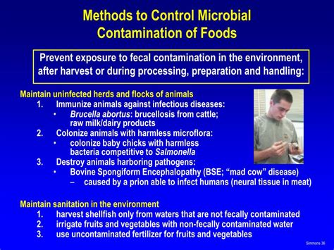 Ppt Envr 430 Foodborne Microbial Disease And Food Safety Powerpoint