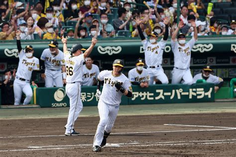 【阪神】6月9発の大山悠輔は愛猫2匹もパワーの源「家に帰って走り回る姿を見るだけでも違う」 プロ野球写真ニュース 日刊スポーツ