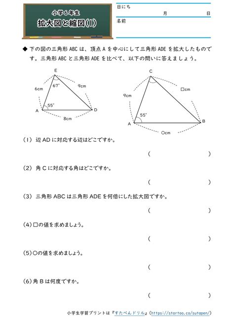 小6算数「拡大図と縮図」学習プリント・練習問題 無料ダウンロード印刷