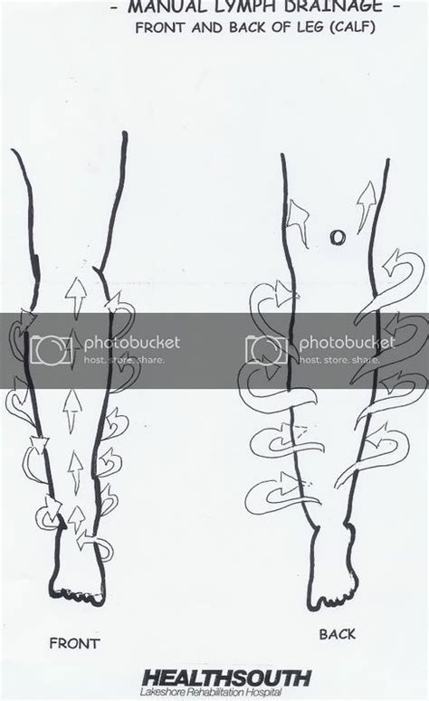 Manual Lymph Drainage Leg Illustrated Patterns Manual Lymph Drainage