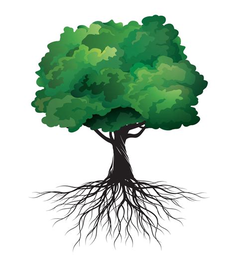 Green Spring Tree With Roots Vector Illustration Vector Art