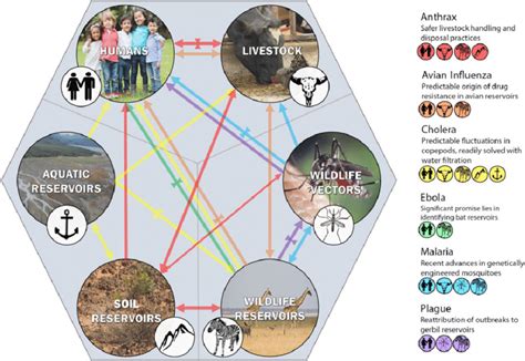 A One Health Approach Applied To Disease Systems Showing The