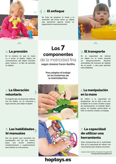 Los Componentes De La Motricidad Fina Hop Toys