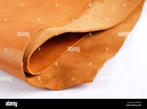 Curtido De Cuero Fotos e Imágenes de stock Alamy