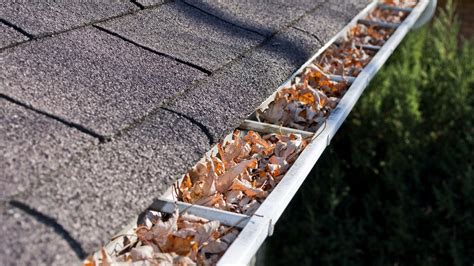 7 Signs Of A Blocked Gutter Gold Coast Plumbing Company