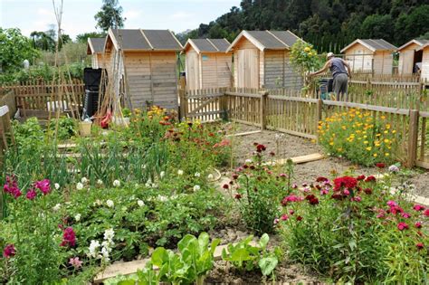 Jardins collectifs et pédagogiques de la Métropole Assises de la