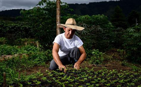 Exportaciones Se Dispararon En Julio Y Aumentan M S Del El Nuevo