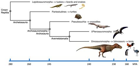 Dinosaurs Encyclopedia Mdpi