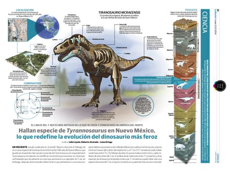 Hallan Especie De Tyrannosaurus En Nuevo M Xico Lo Que Redefine La