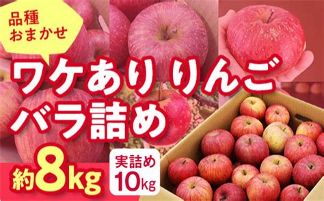 《先行予約 2024年度発送》品種おまかせワケありりんごバラ詰め8kg 実詰め10kg りんご リンゴ 林檎 デザート フルーツ 果物