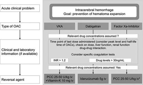 Anticoagulant Associated Intracranial Hemorrhage In The Era Of Reversal