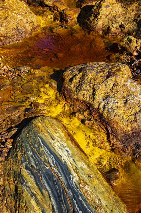 Colores Del Tinto Federaci N Andaluza De Fotograf A