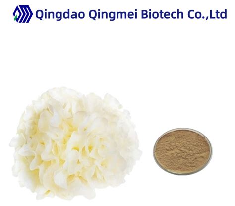 Organic Polysaccharides Tremella Fuciformis Sporocarp Extract