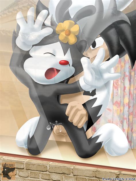 Rule 34 Against Glass Animaniacs Black Fur Color Cum Dot Warner