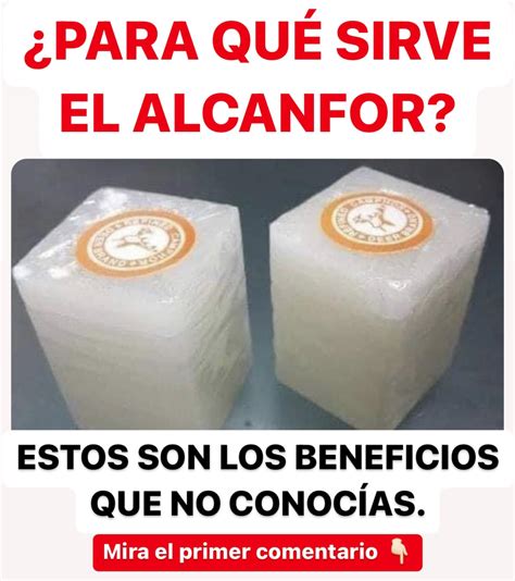 Conoce Para Qu Sirve El Alcanfor Y Cu Les Son Los Beneficios Del