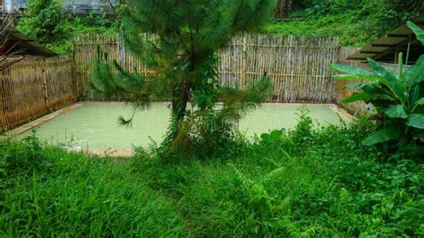 Beautiful Hot Spring Pool With Green Plants Stock Image Image Of Pond Health
