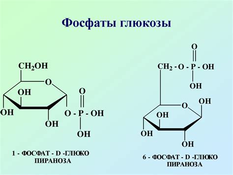 Углеводы. Моносахариды. (Лекция 13) - презентация онлайн