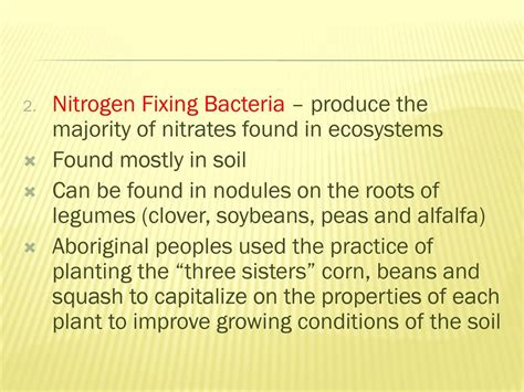 The Nitrogen And Phosphorus Cycles Ppt Download