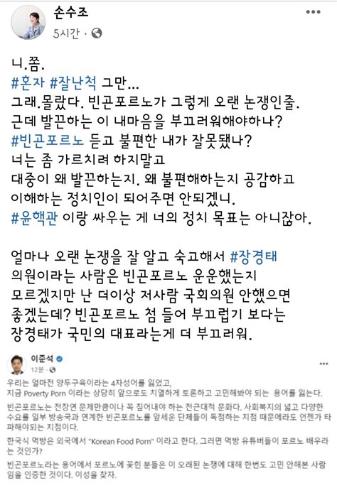 손수조 페북 정치시사 에펨코리아