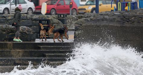 Tropical storm Ophelia claims first life in Ireland | New Straits Times