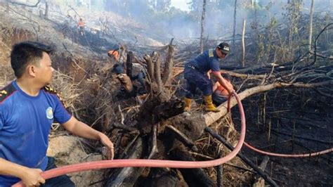 BMKG Deteksi 31 Titik Panas Tersebar Di Kaltim