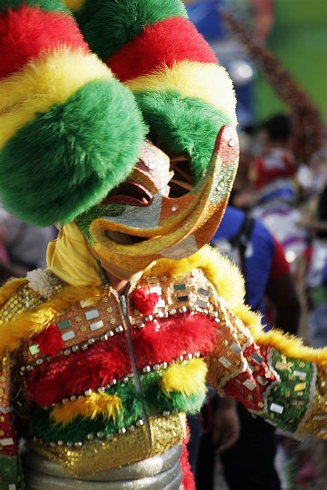 Carnival dominicano masks traditions and culture – Artofit