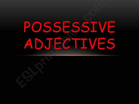 Esl English Powerpoints Possessive Adjectives 0 Hot Sex Picture