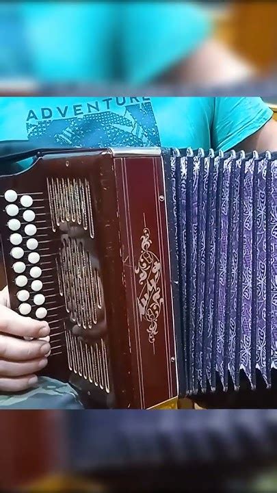 как быстро научиться играть на гармони три аккорда 300 песен Вариации и ...