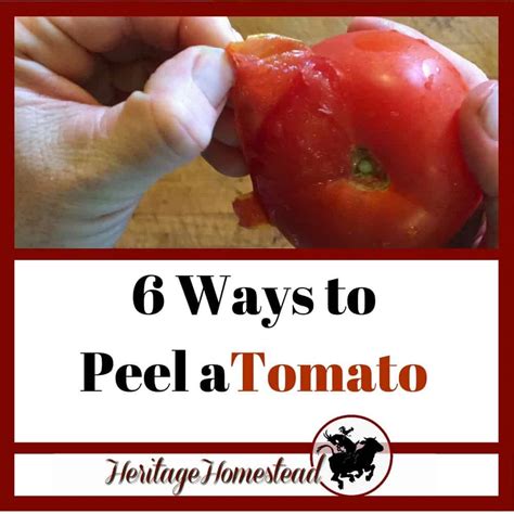 How To Peel Tomatoes 6 Different Ways AND SO EASY