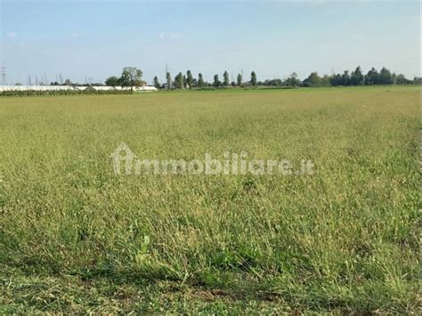 Terreno Agricolo Via Nazionale San Paolo D Argon Rif