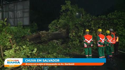 Chuva E Ventos Fortes Causam Quedas De árvores Em Salvador Youtube