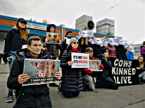 Vegan protesters stun shoppers at Toronto grocery store