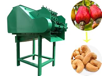 Cashew Nut Shelling Machine