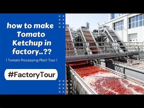 Tomato Puree Processing Plant At Best Price In India