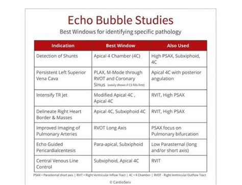 Echo Bubble Studies Medizzy