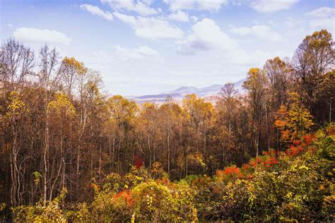 18 Prettiest Places For Fall Foliage In Tennessee