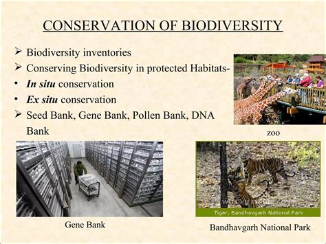 Ppt Of Biodiversity Ppt