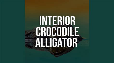 Interior Crocodile Alligator Tiktok Challenge Youtube